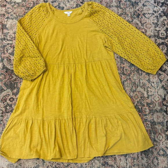 Time & Tru plus size eyelet sleeve dress, women’s XL (16/18) - Picture 1 of 7